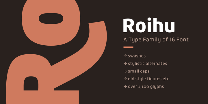 Roihu Thin Font Poster #1