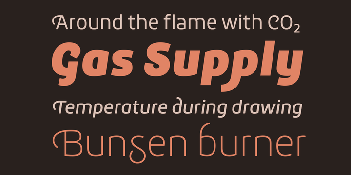 Roihu Thin Font Poster #1