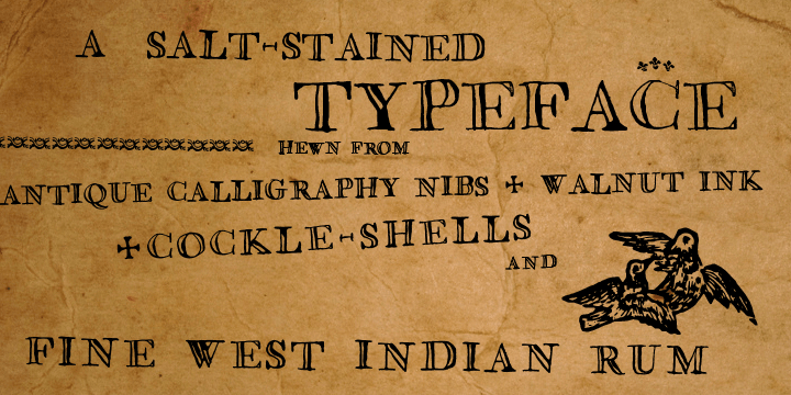 Saltpetre Font Poster #1