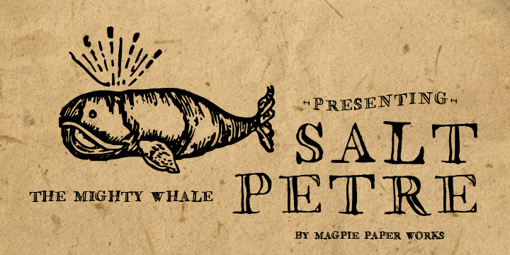 Saltpetre Font Poster #1