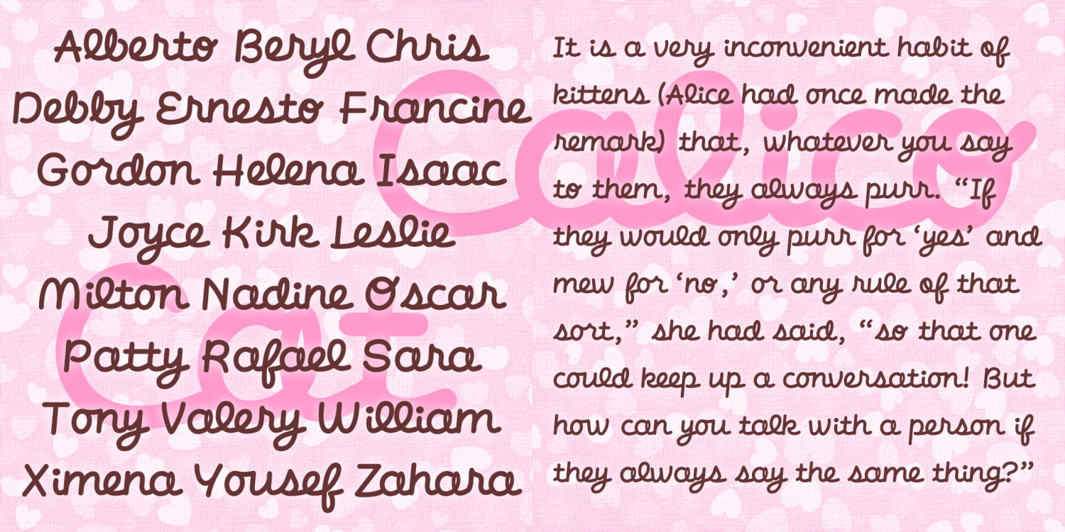 Calico Cat Font Family Poster