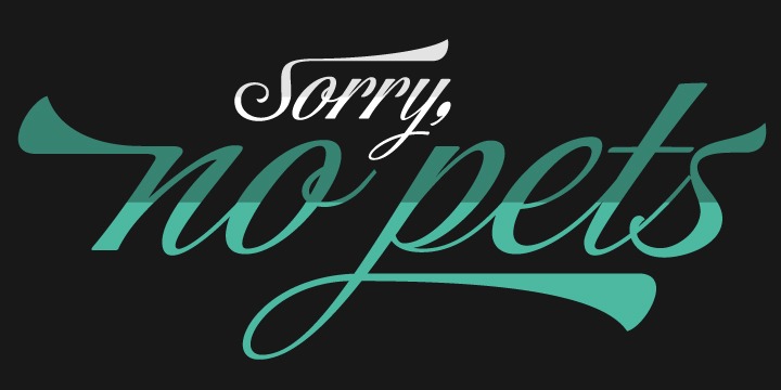Storefront Pro Font Poster #1