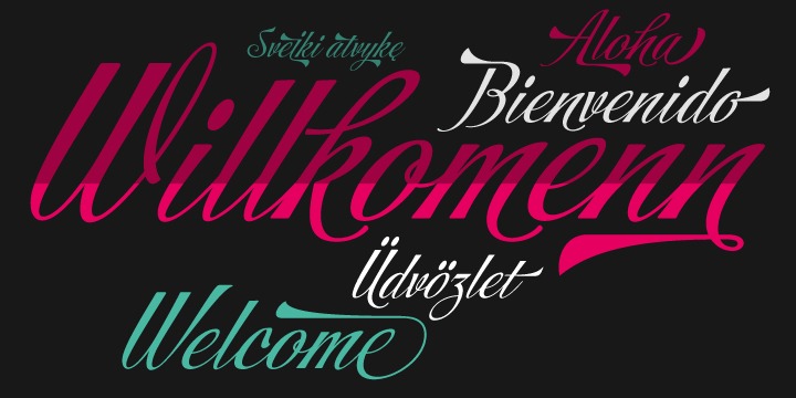 Storefront Pro Font Poster #1