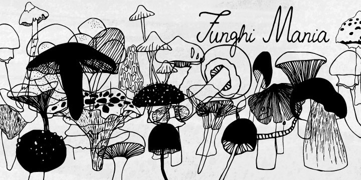 Funghi Mania Font Family Poster
