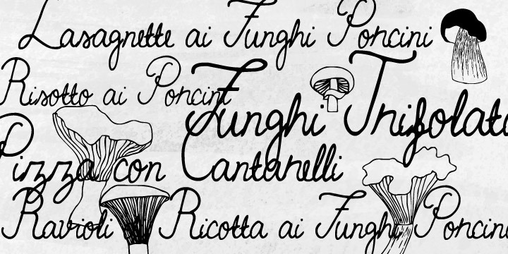 Funghi Mania Font Poster #1