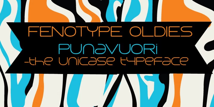 Punavuori Font Family Poster