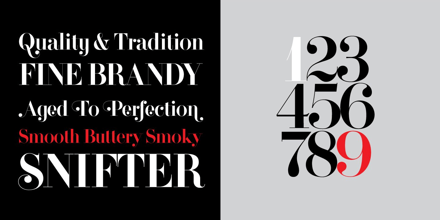 Domani Regular Font Poster #1