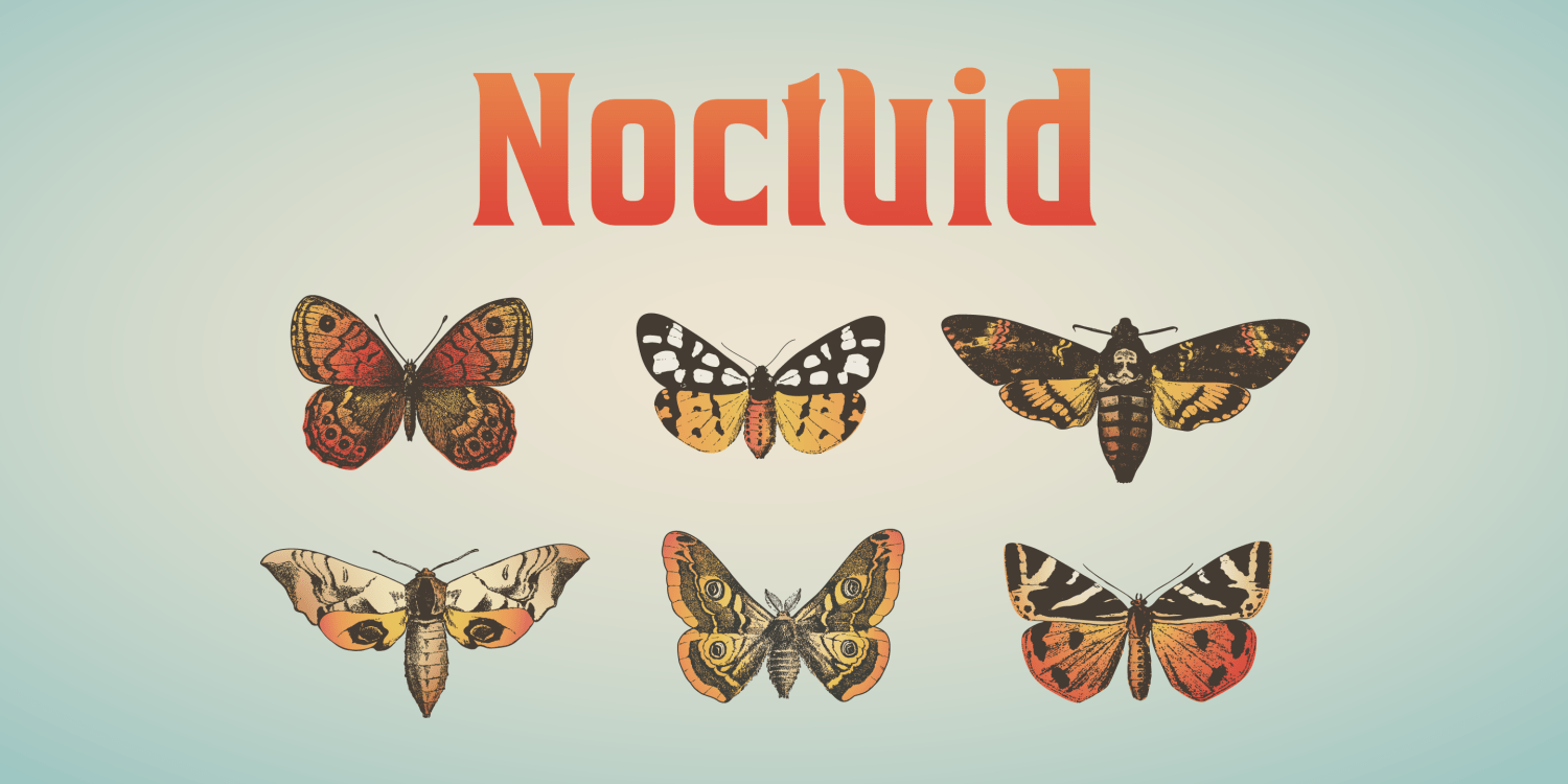 House Of Cards Font Poster #5