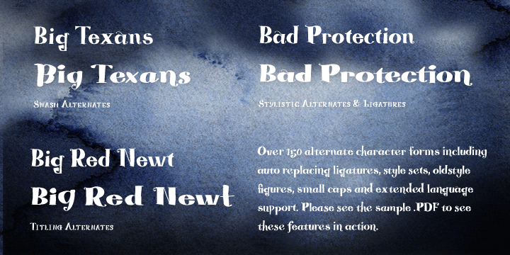 Blue Goblet Serif Font Poster #2