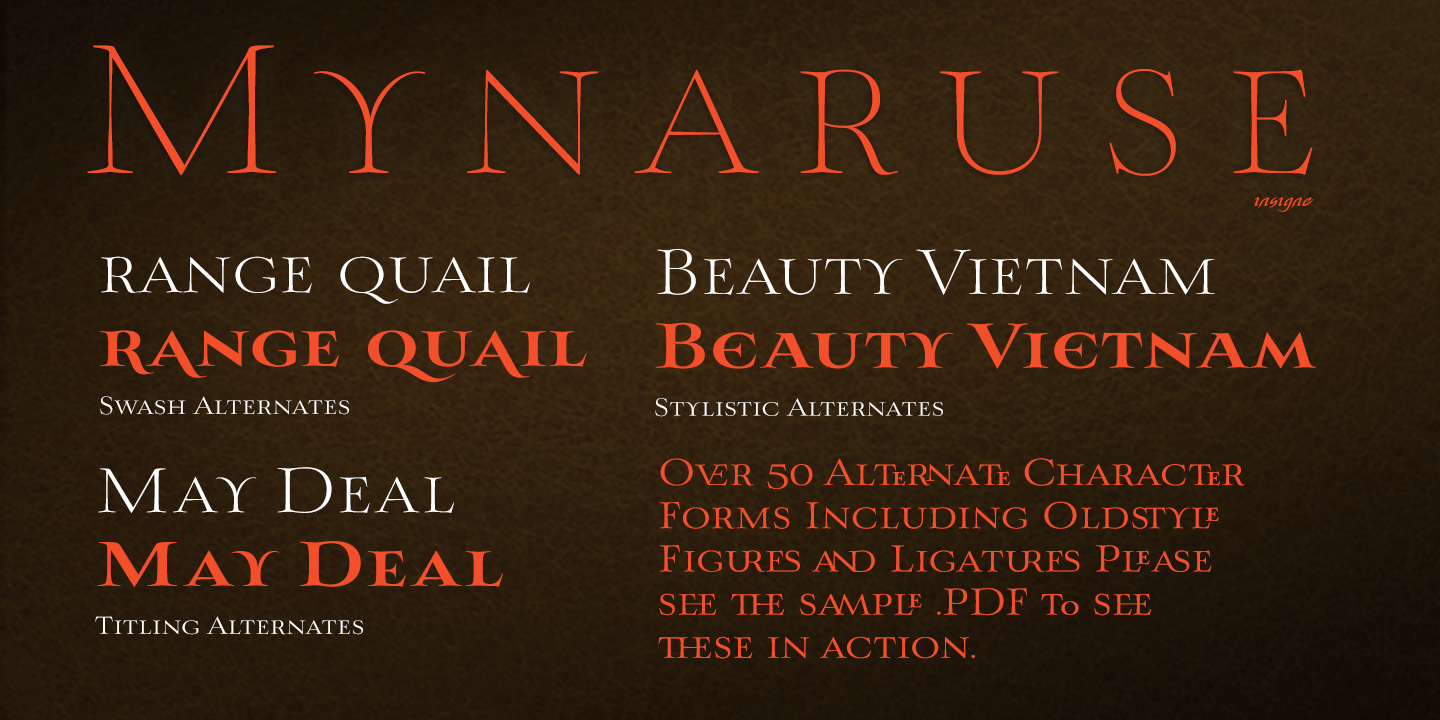 Mynaruse Font Poster #1