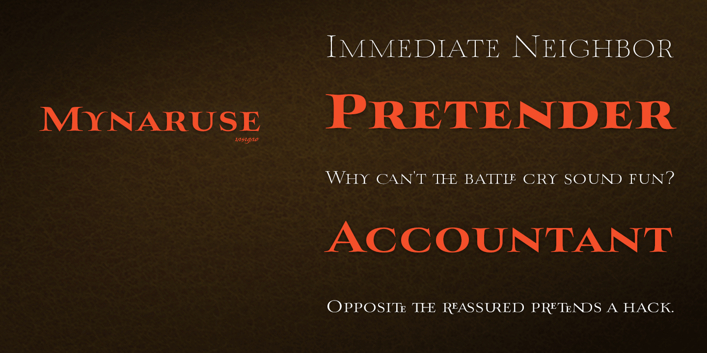 Mynaruse Font Poster #1