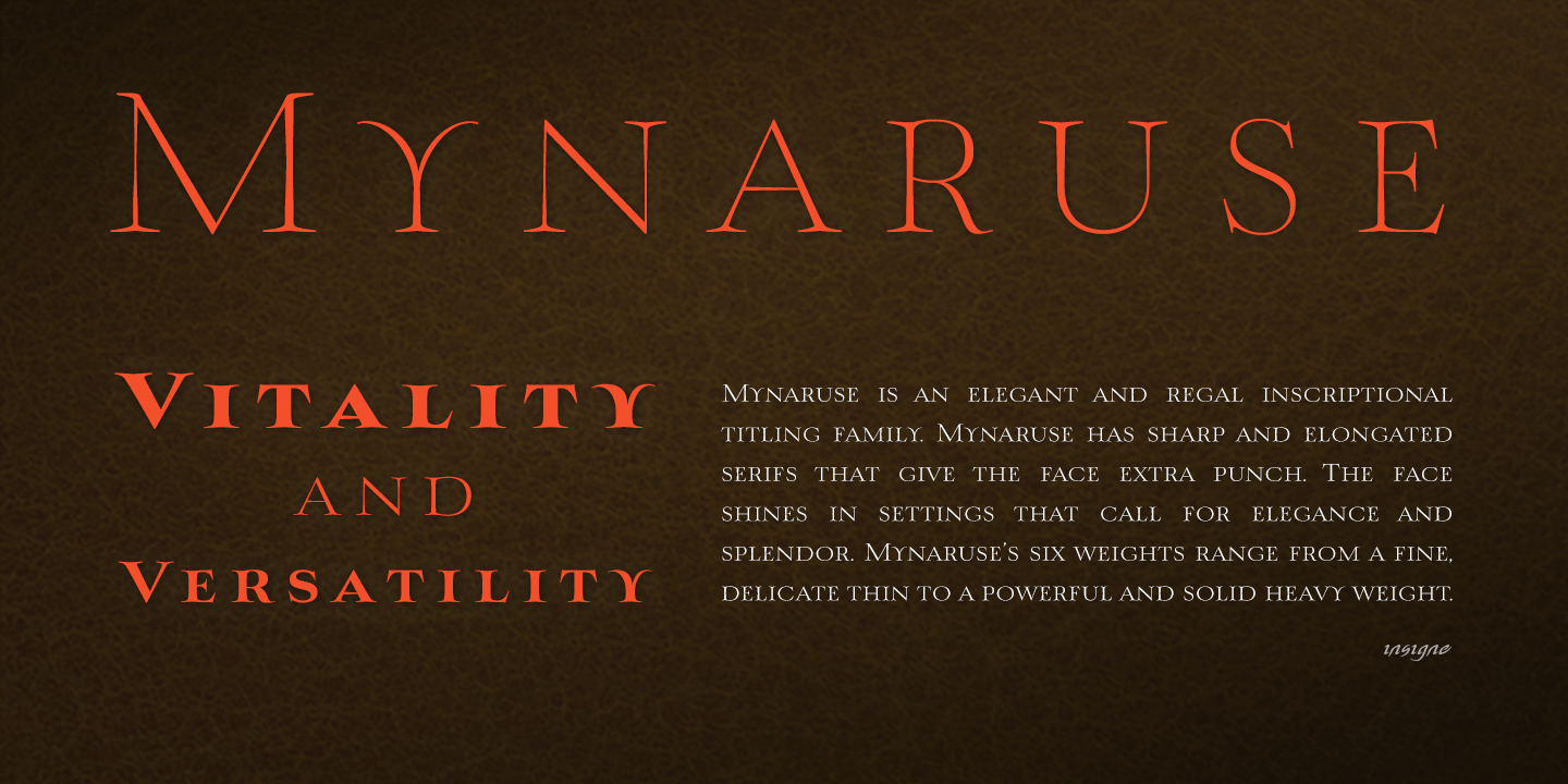 Mynaruse Font Poster #1