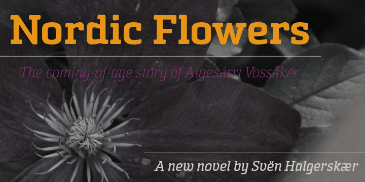 Sommet Slab Rounded Font Poster #1