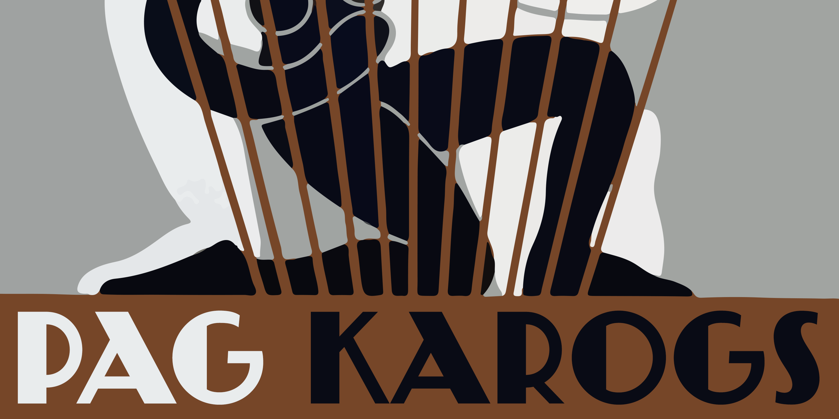 PAG Karogs Font Poster #1