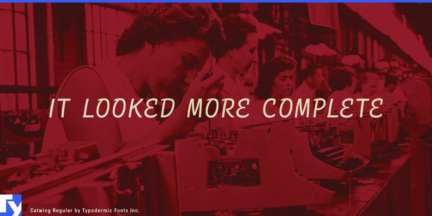 Catwing Font Poster #1