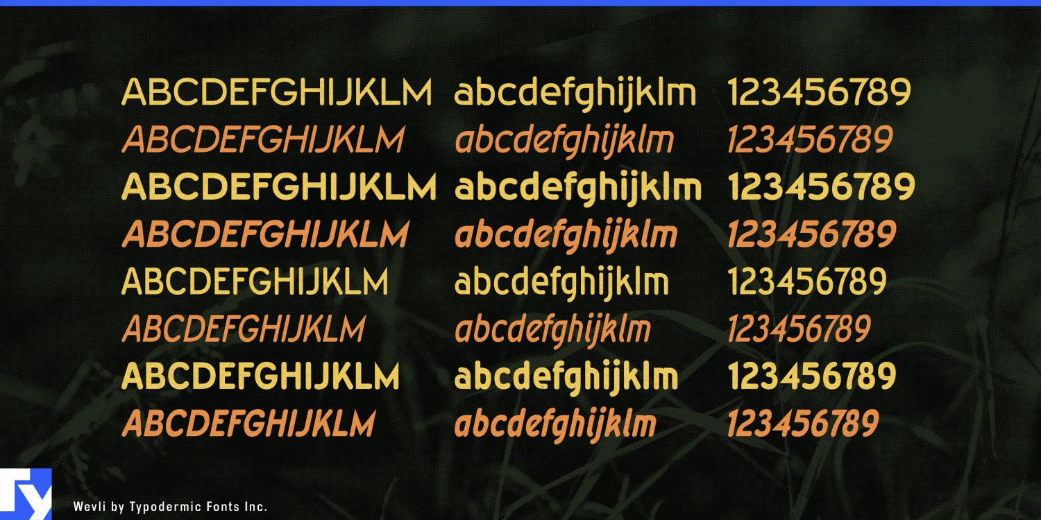 Wevli Font Poster #1