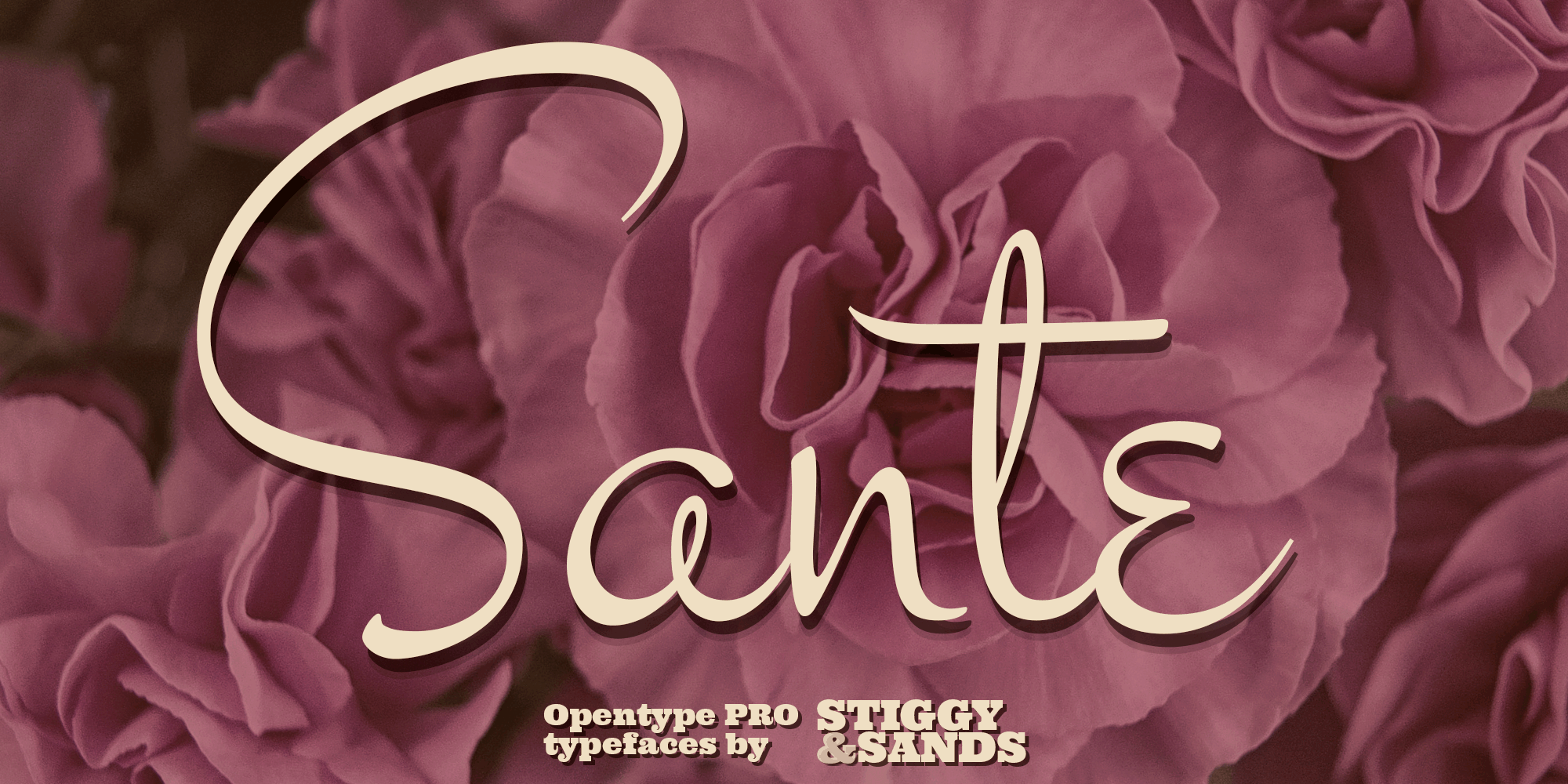 Sante Pro Font Poster #1