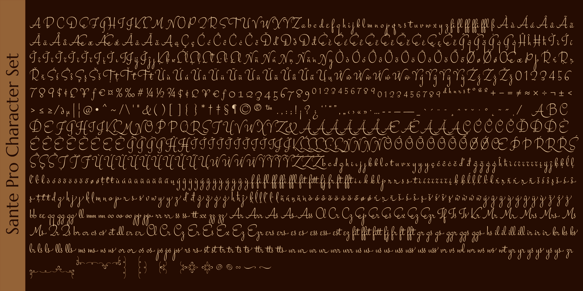 Sante Pro Font Poster #1
