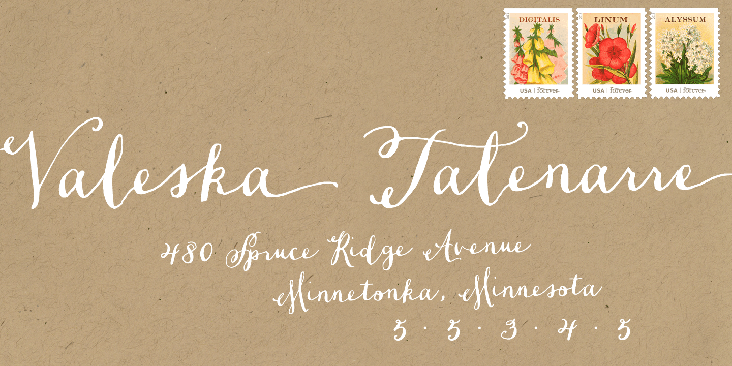 Dasha Font Poster #1