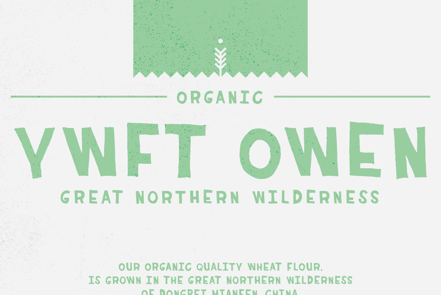 YWFT Owen Poster