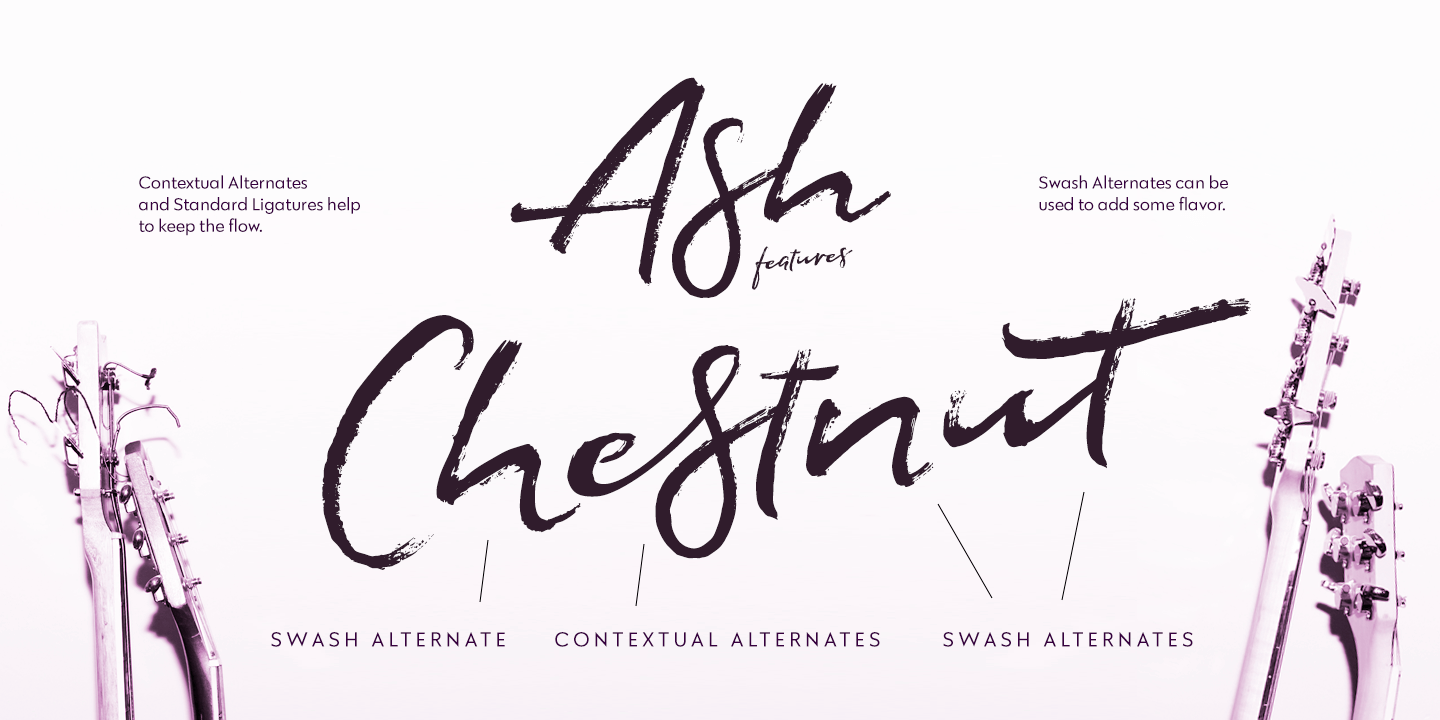 Ash Font Poster #1