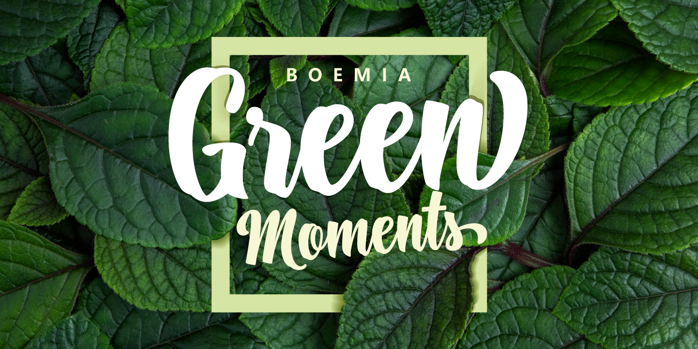 Boemia Font Poster #1