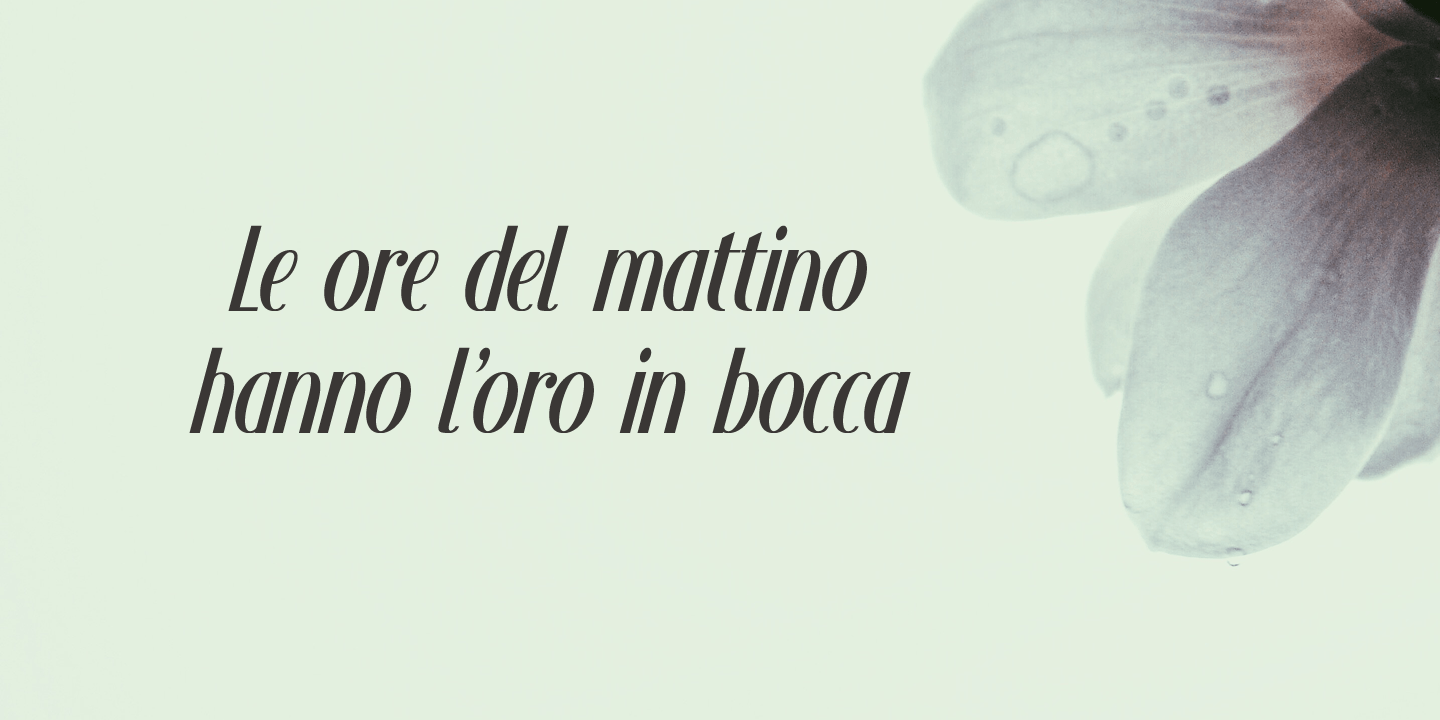 Adagietto Font Poster #1