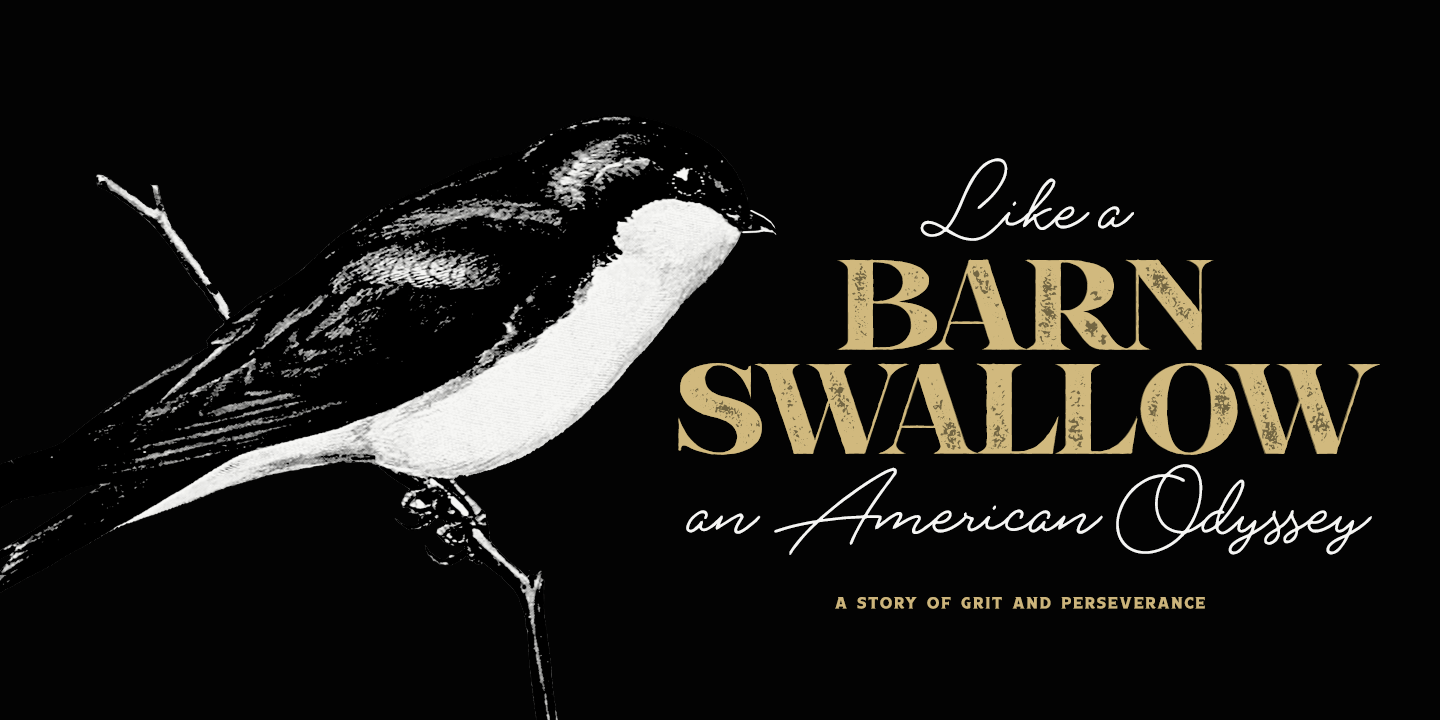 Boardwalk Avenue Rough Font Poster #1