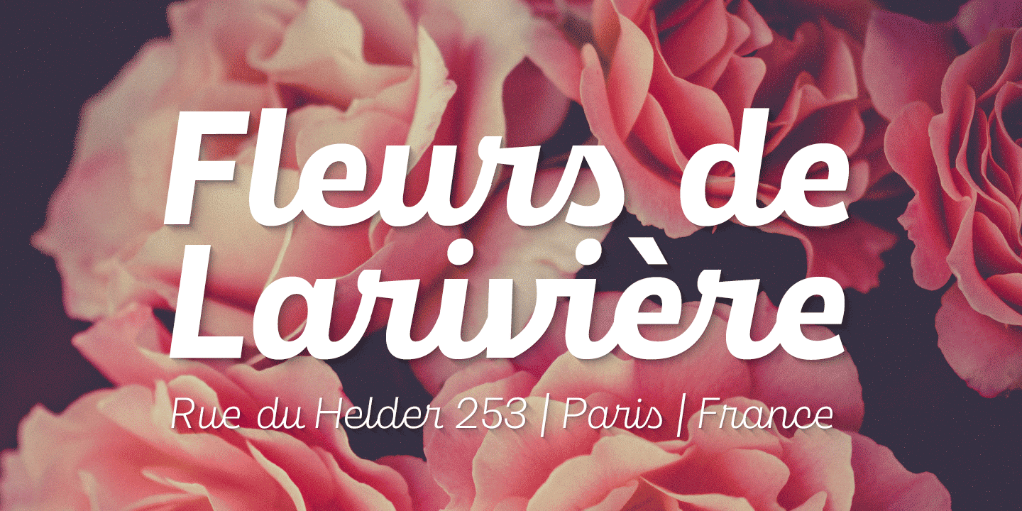 Maestri Font Poster #1