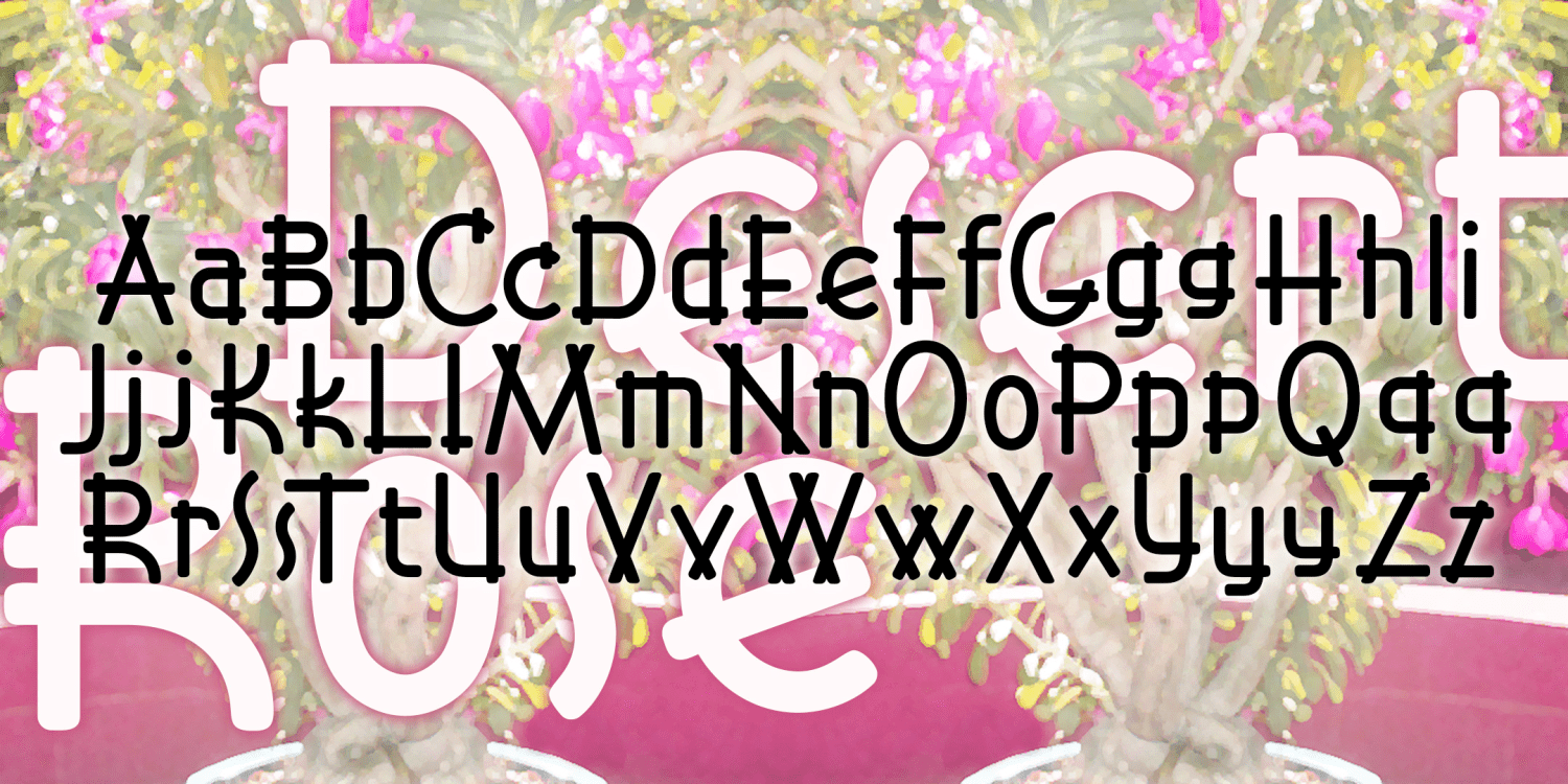 Desert Rose Font Family Poster