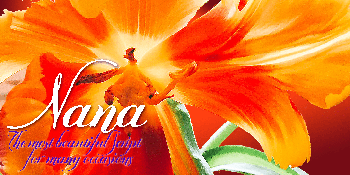 Nana Font Poster #1
