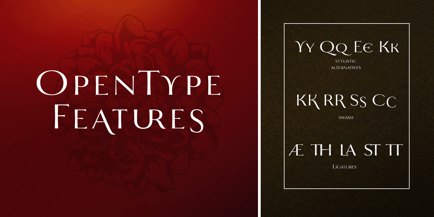 Mynaruse Flare Font Poster #1