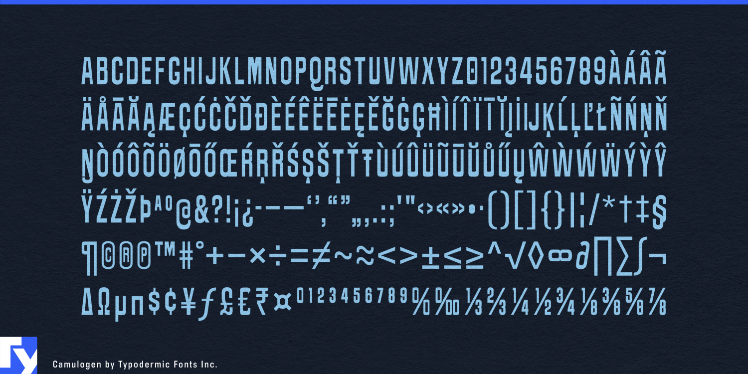 Camulogen Font Poster #1