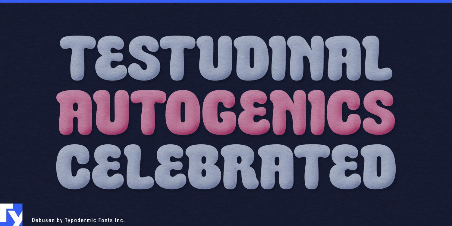 Debusen Font Poster #1