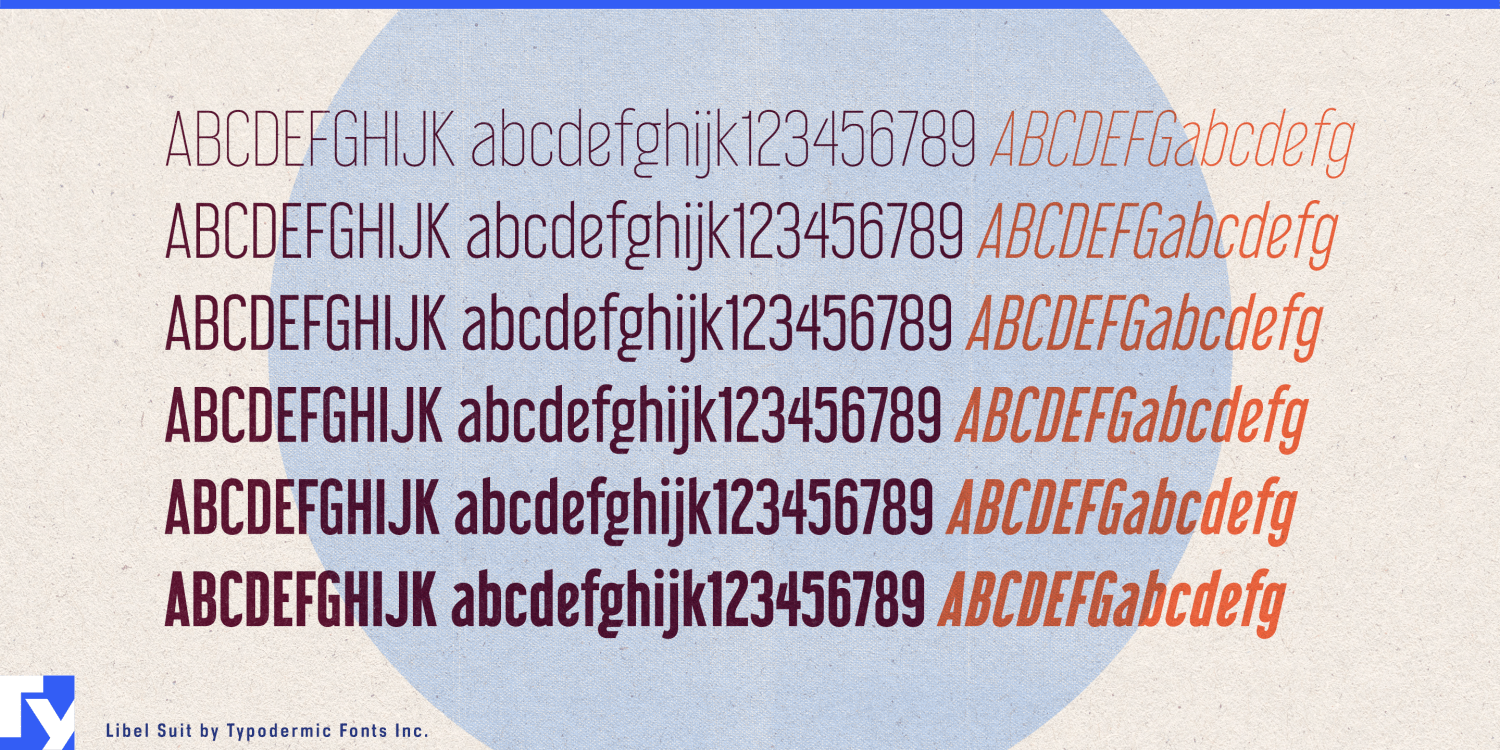 Libel Suit Font Poster #1
