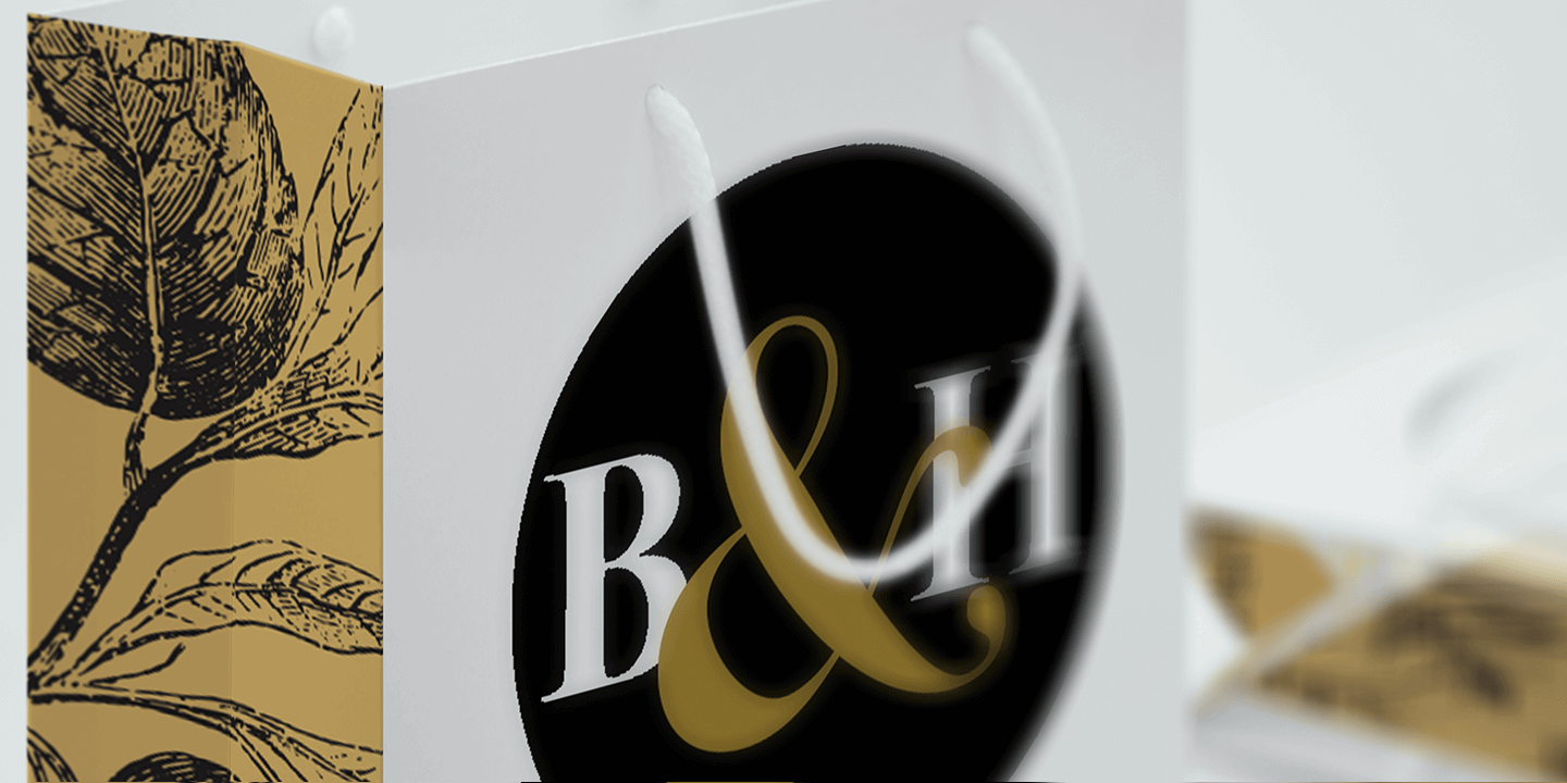 Bodoni Palazzo Font Poster #1