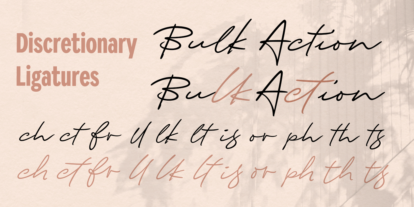 Ellie Script Font Poster #1