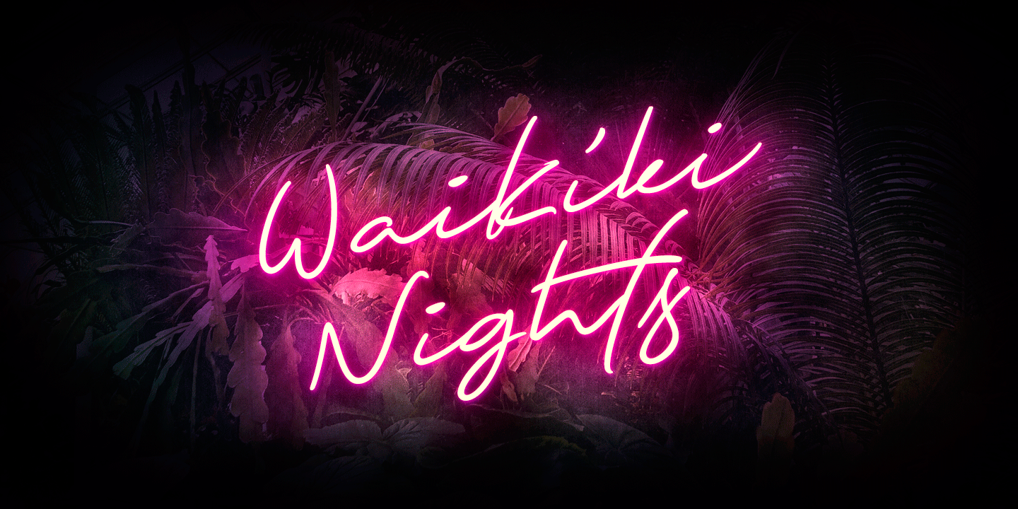 Ellie Script Font Poster #1