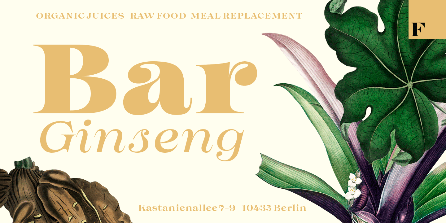 Imagist Font Poster #1