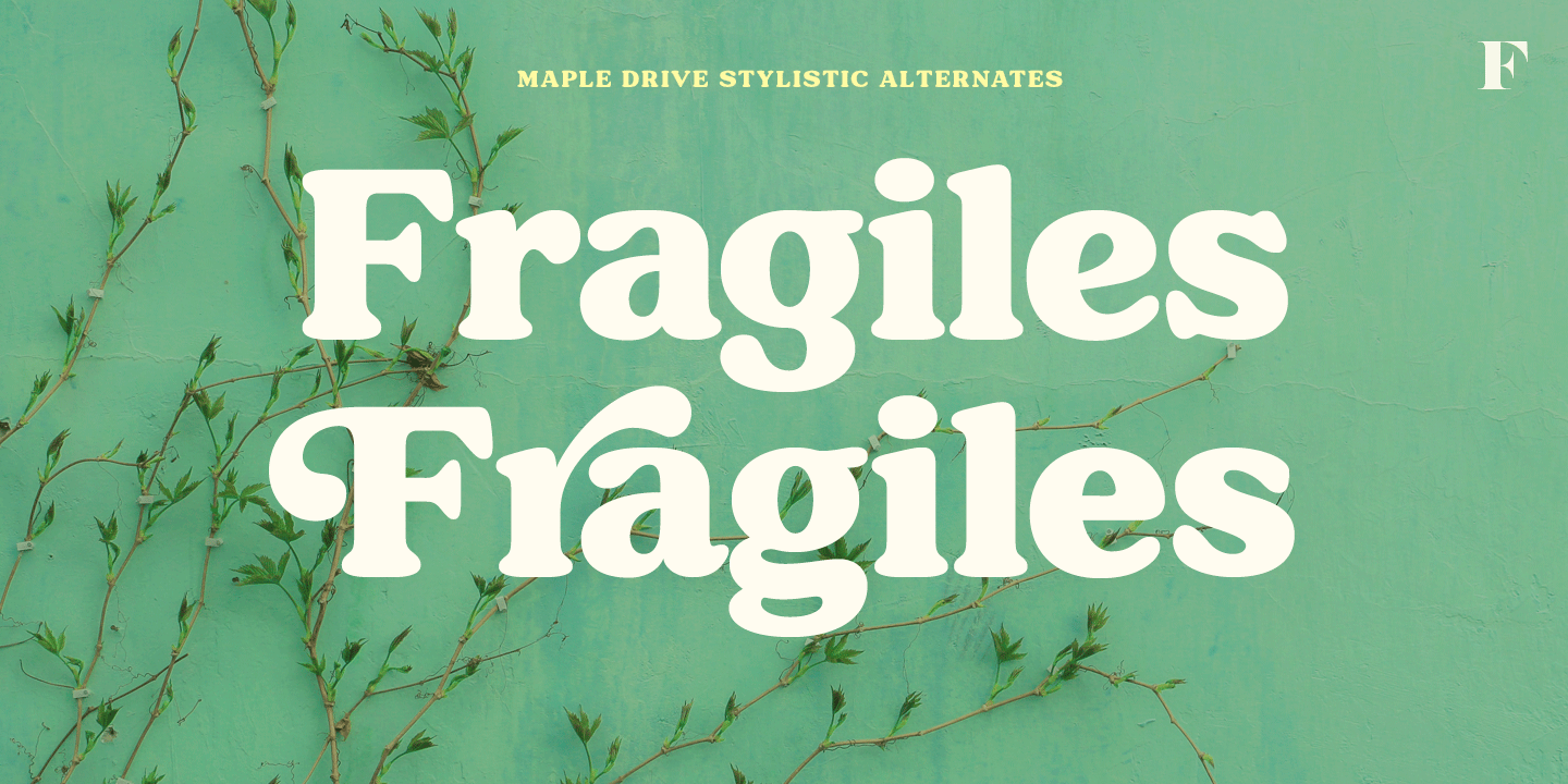 Maple Drive Font Poster #1