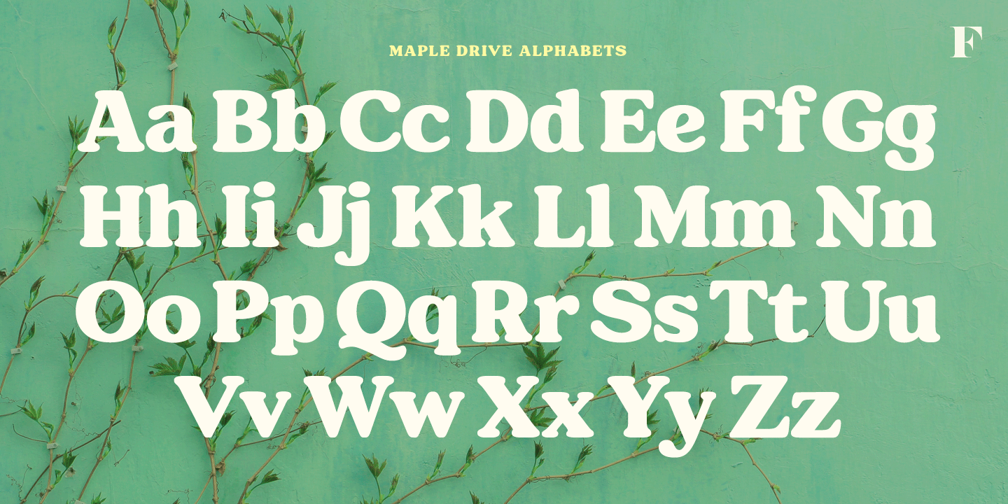 Maple Drive Font Poster #1