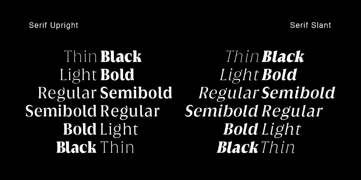 Griggs Serif Font Poster #1