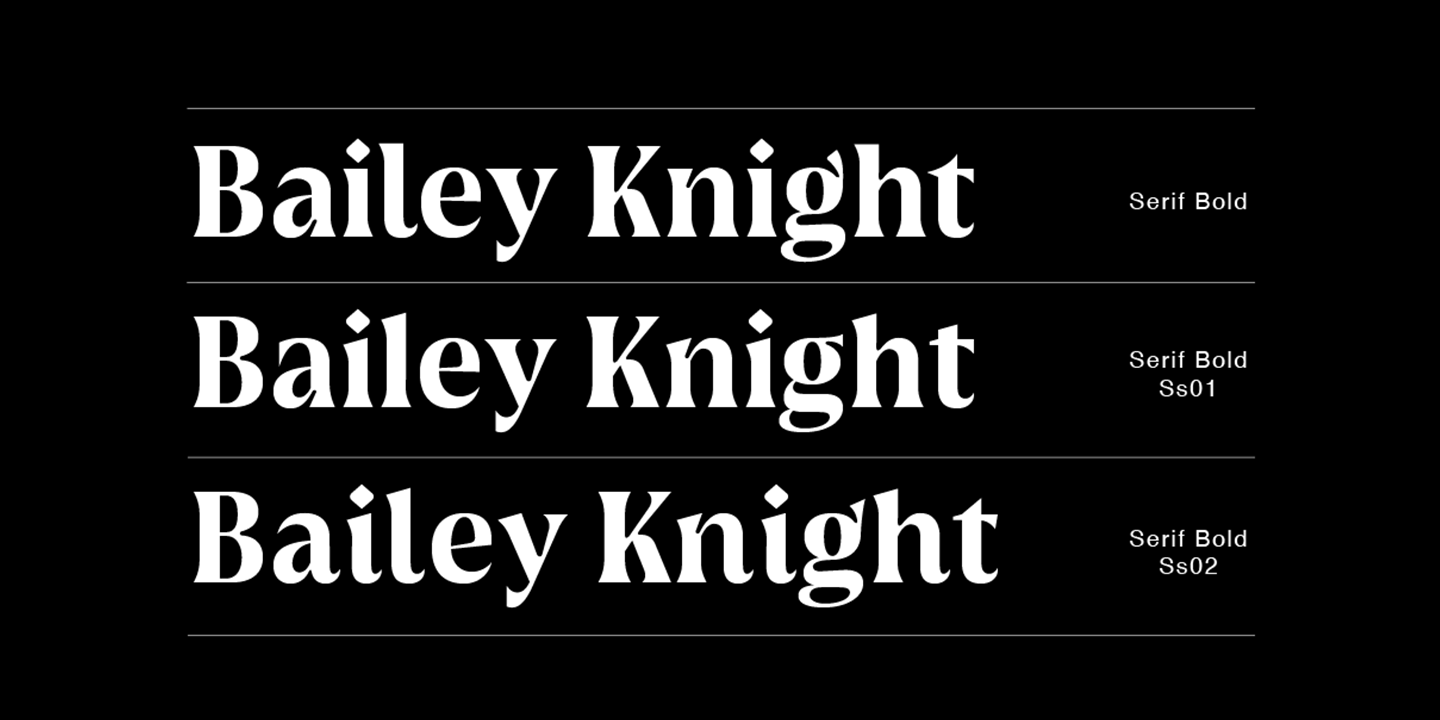 Griggs Serif Font Poster #1