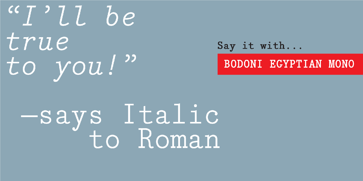 Bodoni Egyptian Mono Font Poster #1