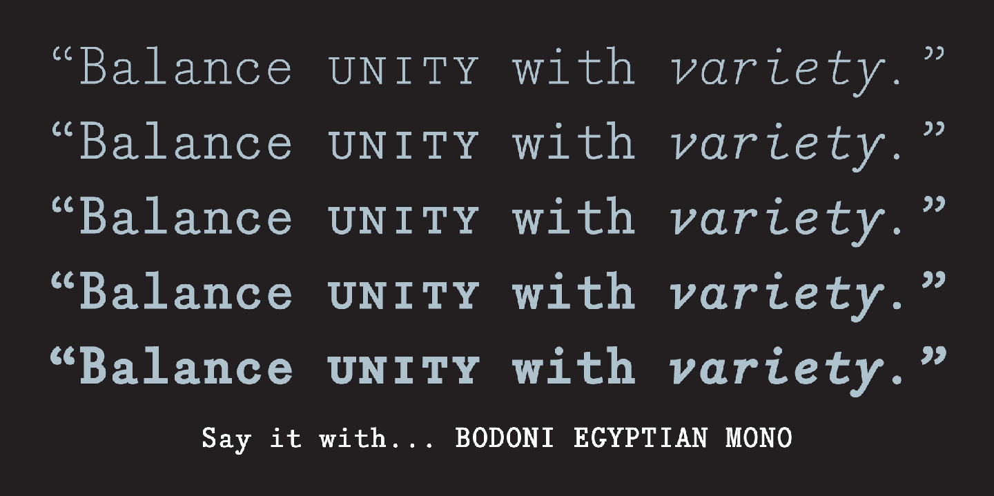 Bodoni Egyptian Mono Font Poster #1