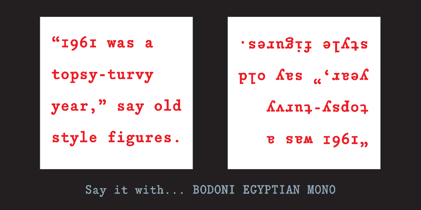 Bodoni Egyptian Mono Font Poster #1