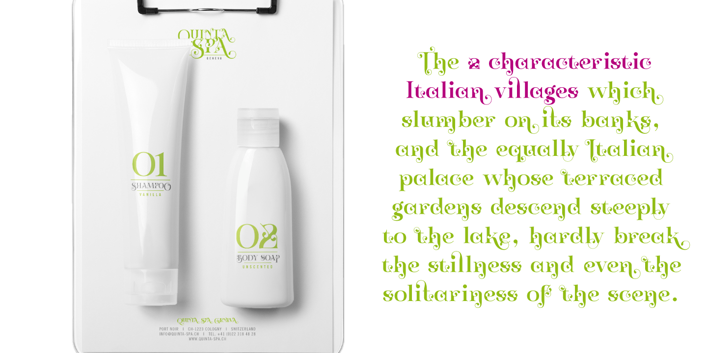 Zoltana Font Poster #1
