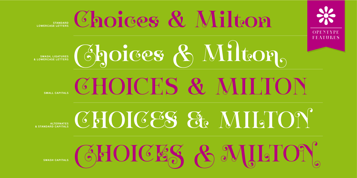 Zoltana Font Poster #1