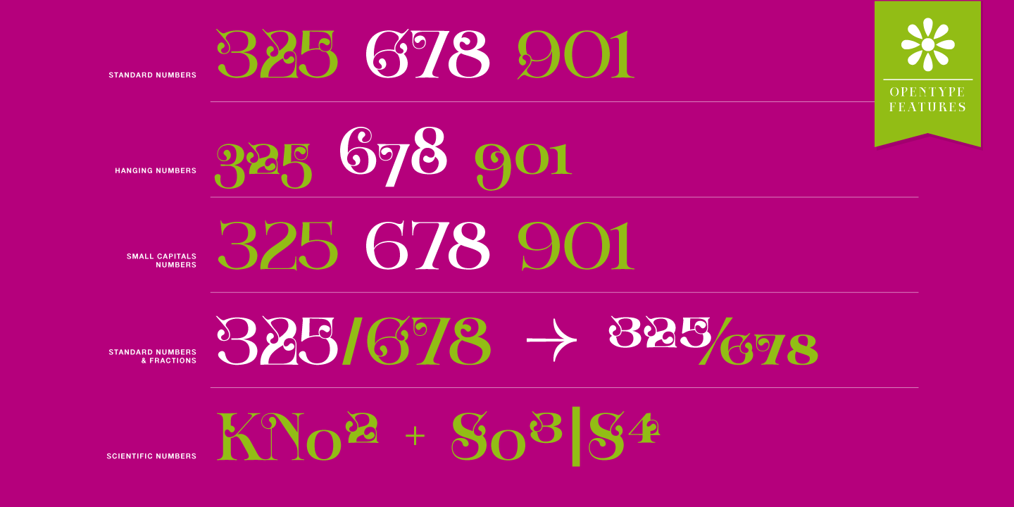 Zoltana Font Poster #1