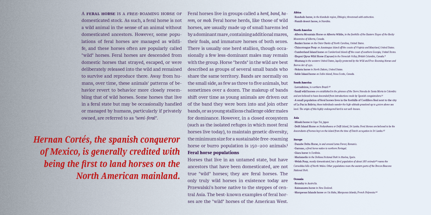 Chucara Next Font Poster #1